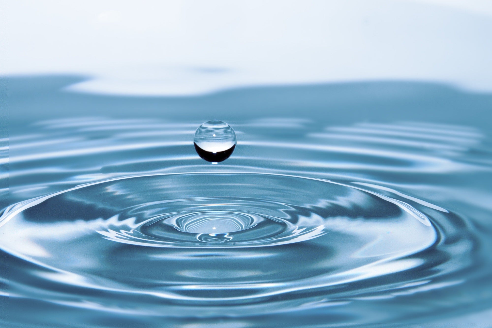 Why Do You Need a Water Filter?