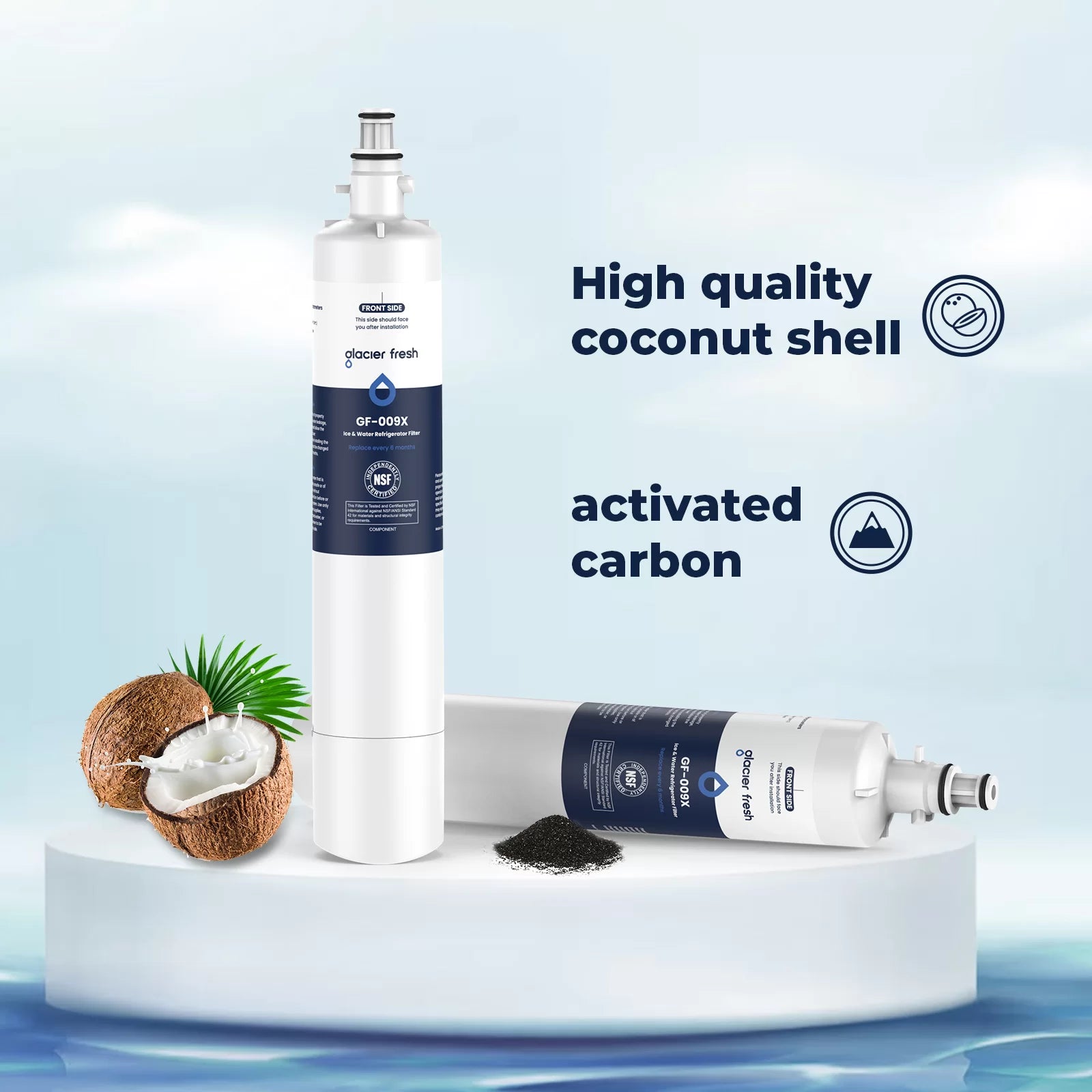 Glacier Fresh Compatible with GE RPWFE Refrigerator Water Filter (with Chip)