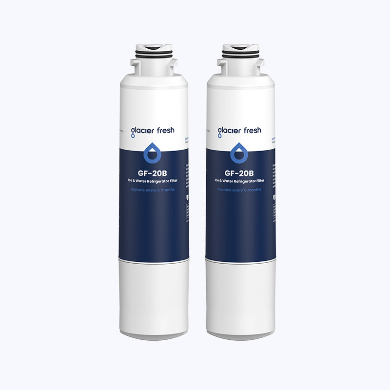 Samsung DA29-00020B Refrigerator Water Filter - 2 Pack