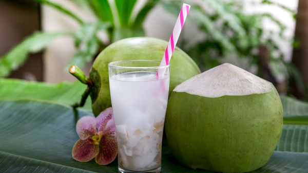 Coconut Water: The Hydration Hero You Need to Embrace Right Now