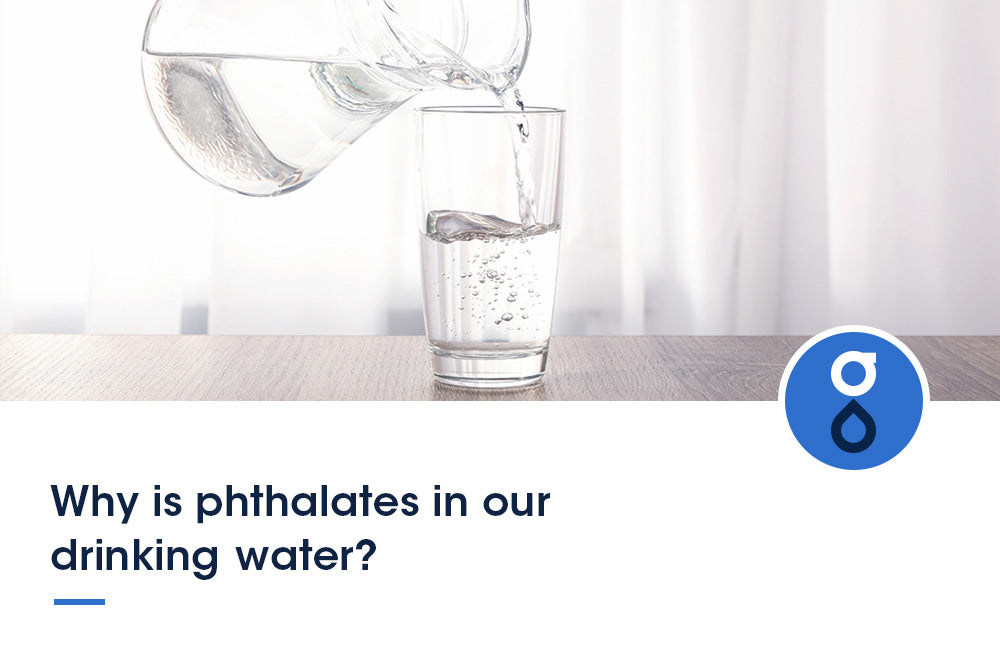 Why is phthalates in our drinking water?