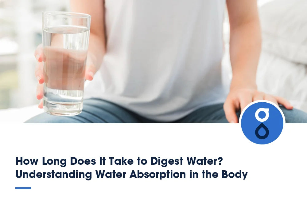 How Long Does It Take to Digest Water? | Glacier Fresh