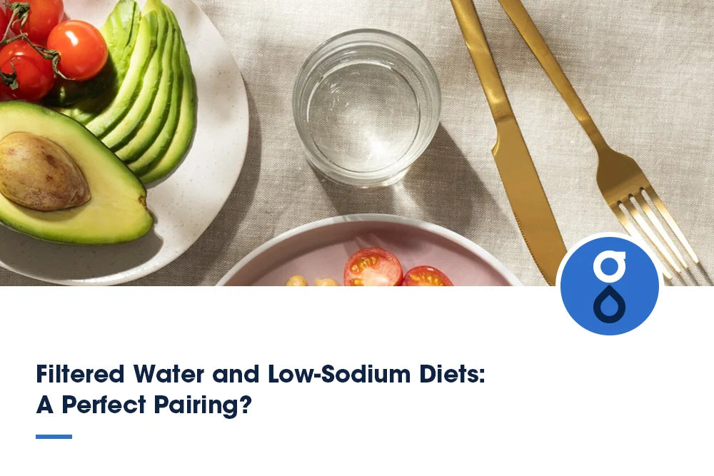 Filtered Water and Low-Sodium Diets: A Perfect Pairing?