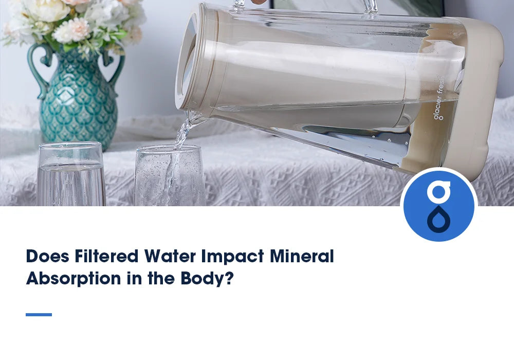 Does Filtered Water Impact Mineral Absorption in the Body?