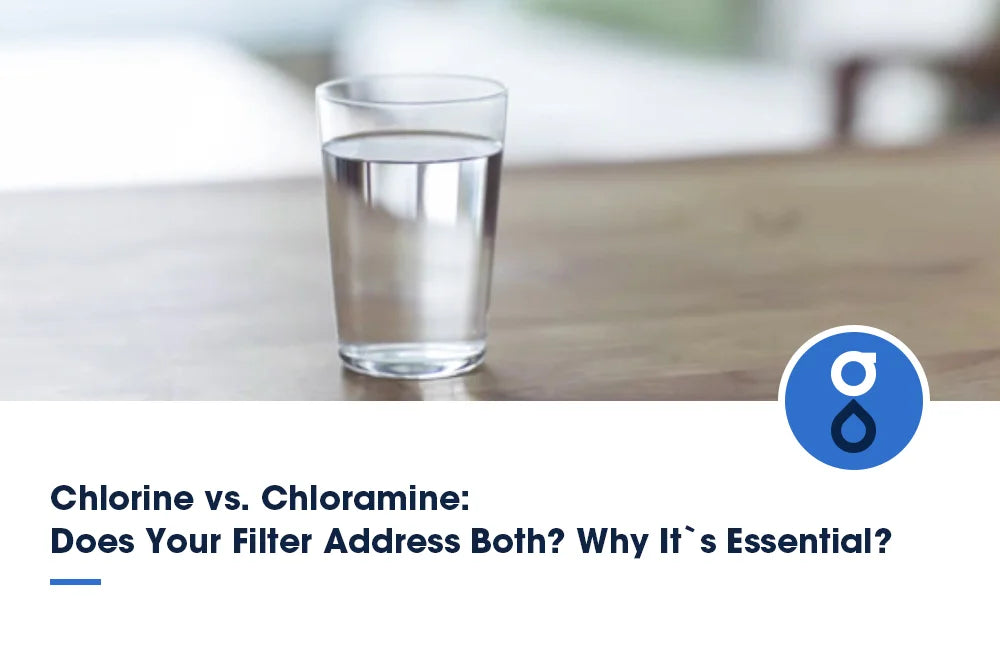Chlorine vs. Chloramine: Does Your Filter Address Both? Why It`s Essential?