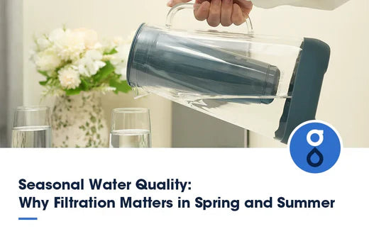 Seasonal Water Quality: Why Filtration Matters in Spring and Summer