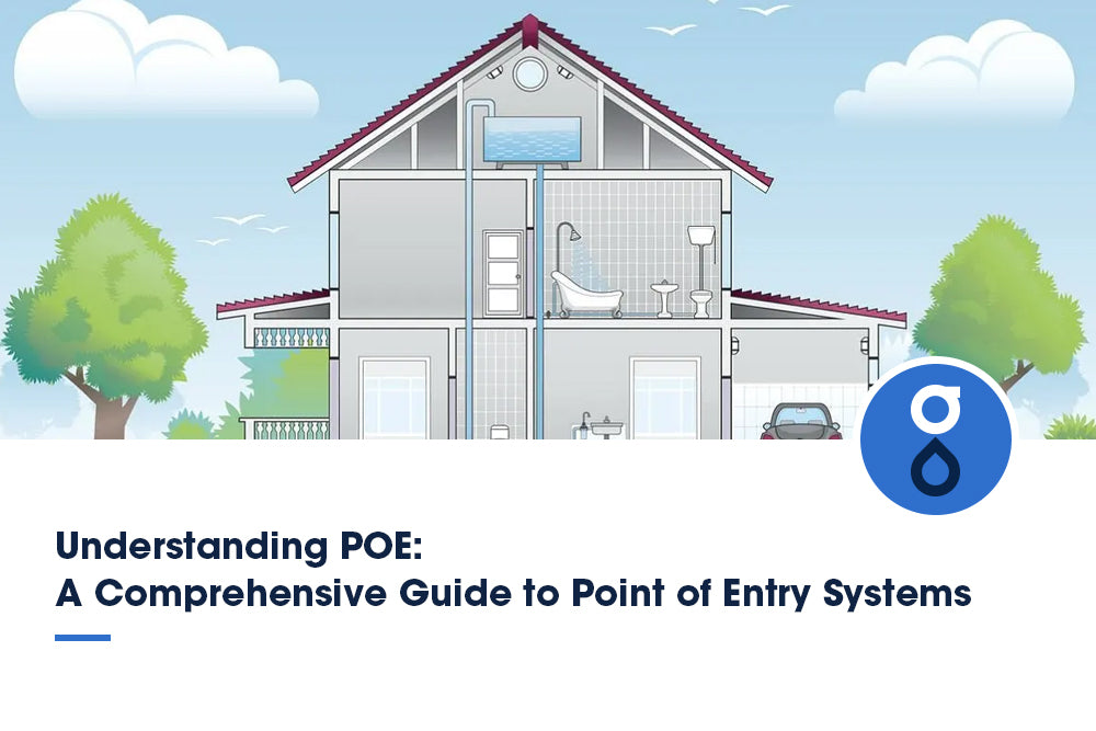 Understanding POE: A Comprehensive Guide to Point of Entry Systems