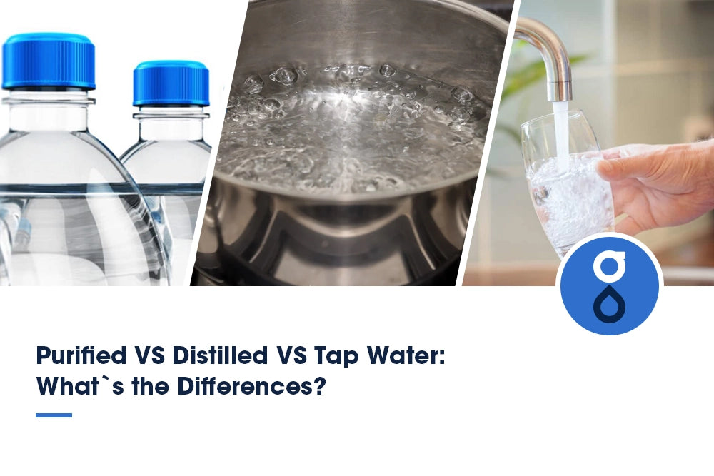 Purified VS Distilled VS Tap Water: What`s the Differences?