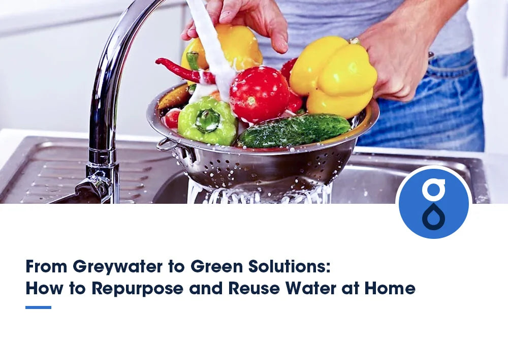 From Greywater to Green Solutions: How to Repurpose and Reuse Water at Home
