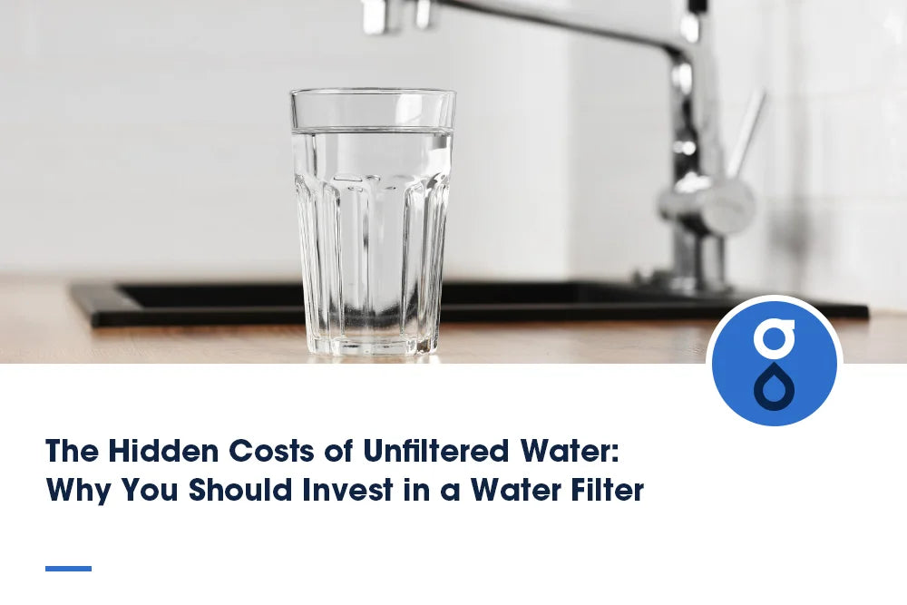 The Hidden Costs of Unfiltered Water: Why You Should Invest in a Water Filter