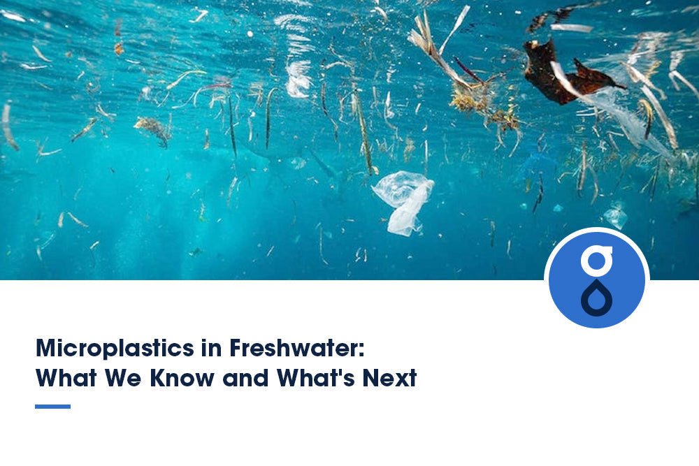 Microplastics in Freshwater: What We Know and What's Next