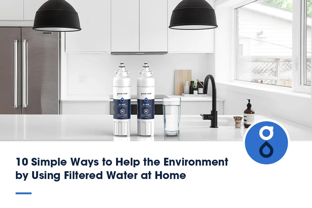 10 Simple Ways to Help the Environment by Using Filtered Water at Home