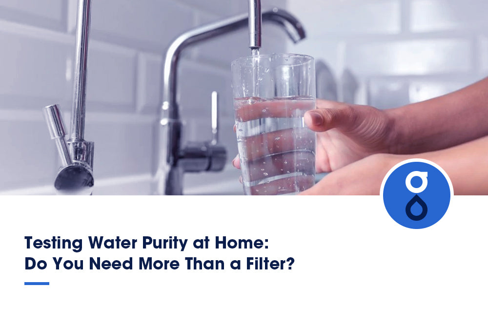 Testing Water Purity at Home: Do You Need More Than a Filter?