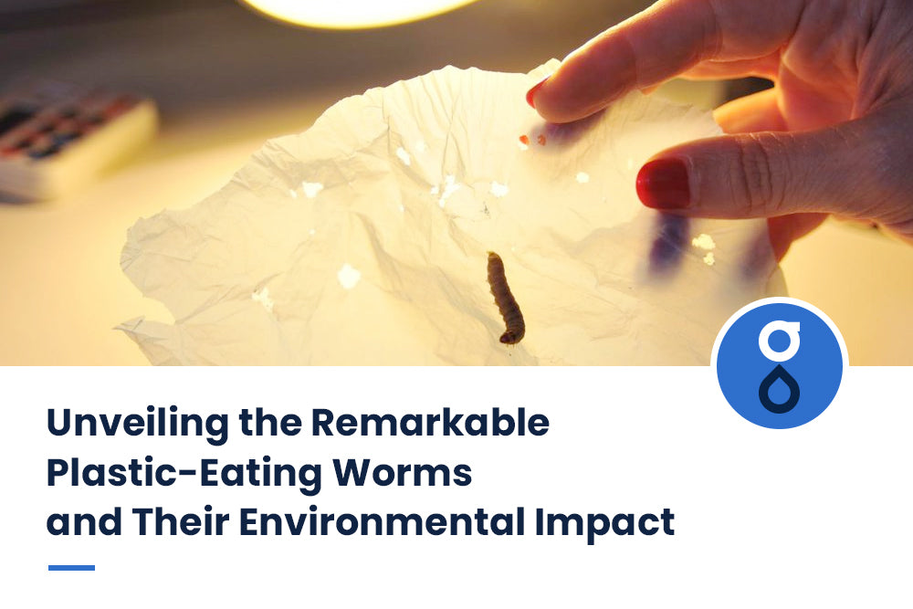 Unveiling the Remarkable Plastic-Eating Worms and Their Environmental Impact
