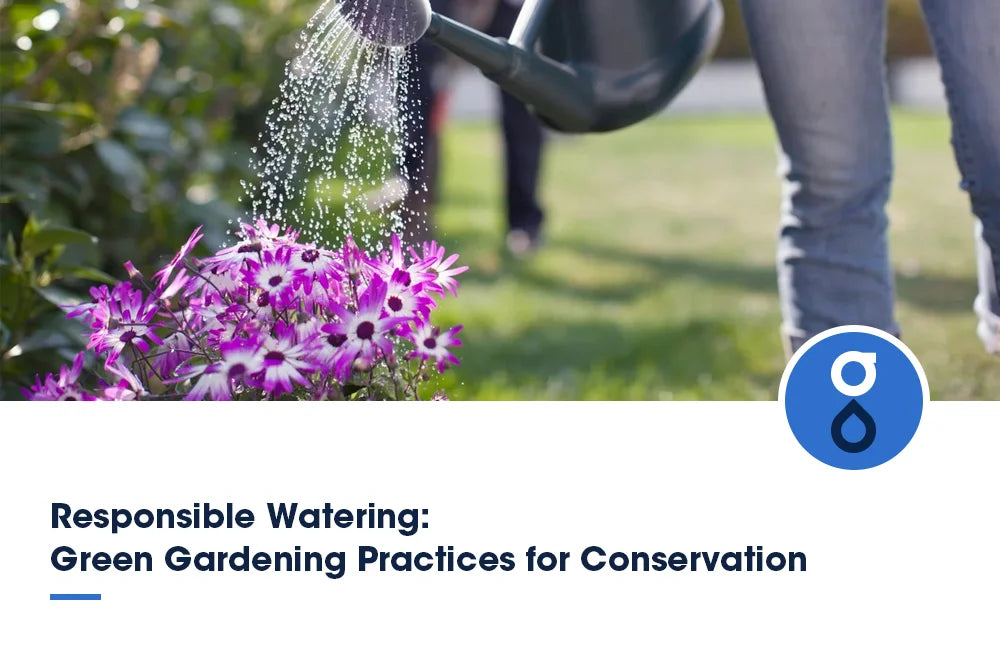 Responsible Watering: Green Gardening Practices for Conservation