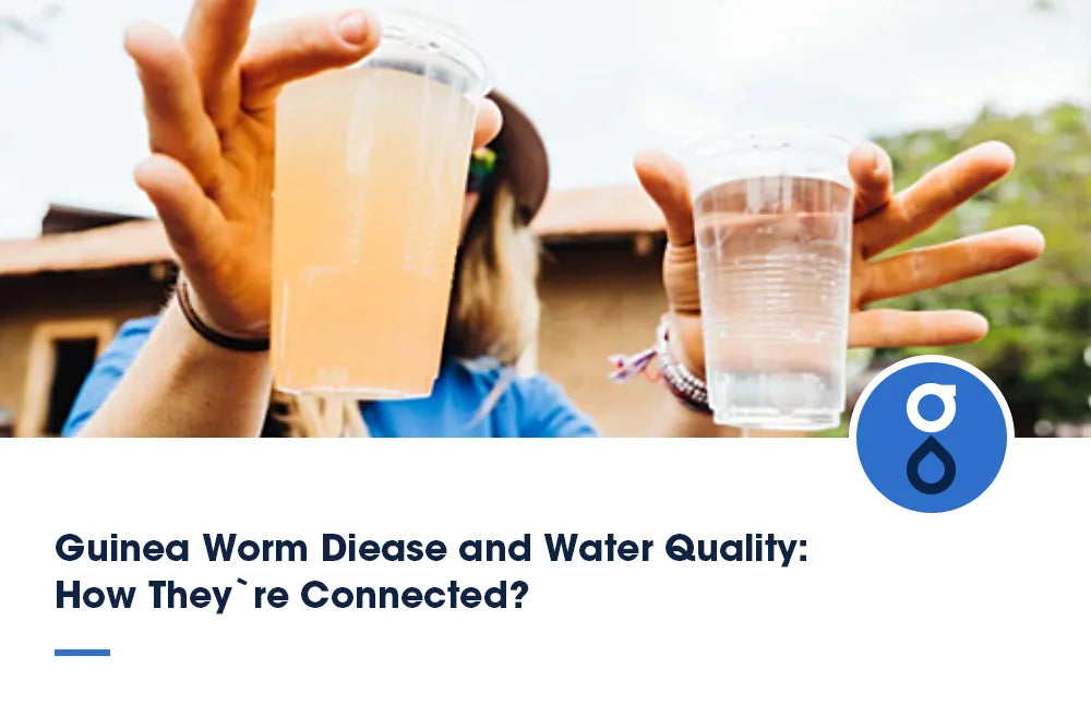 Guinea Worm Diease and Water Quality: How They`re Connected?