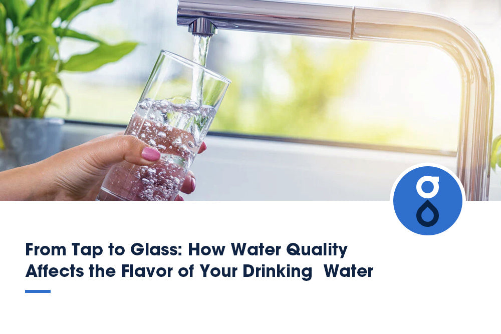 Close-up of a person filling a glass of water from a kitchen faucet, highlighting the impact of water quality on drinking water flavor