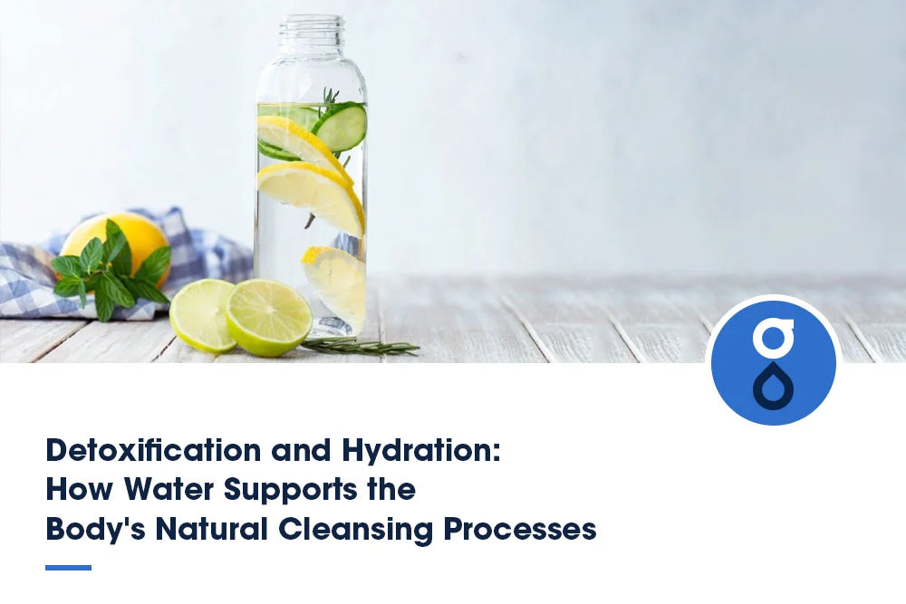Detoxification and Hydration: How Water Supports the Body's Natural Cleansing Processes