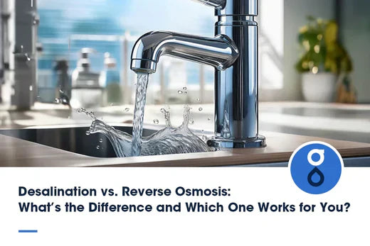 Desalination vs. Reverse Osmosis: What’s the Difference and Which One Works for You?