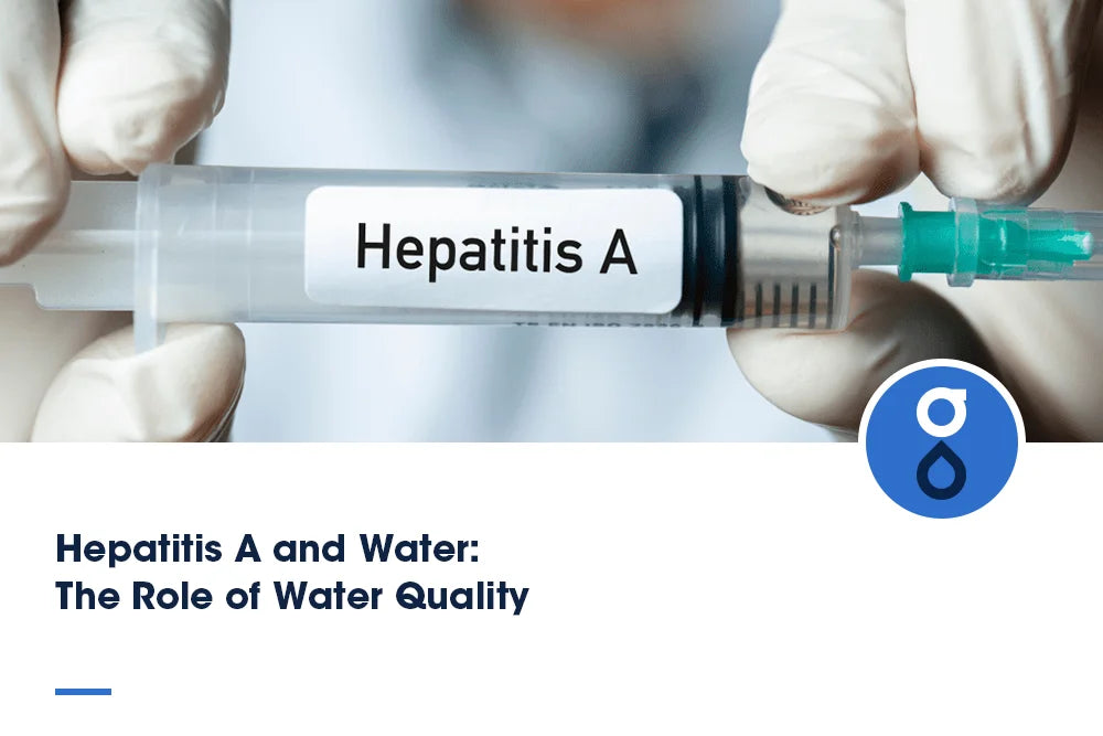 Hepatitis A and Water: The Role of Water Quality