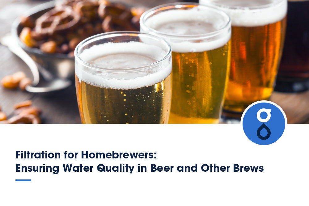 Filtration for Homebrewers: Ensuring Water Quality in Beer and Other Brews