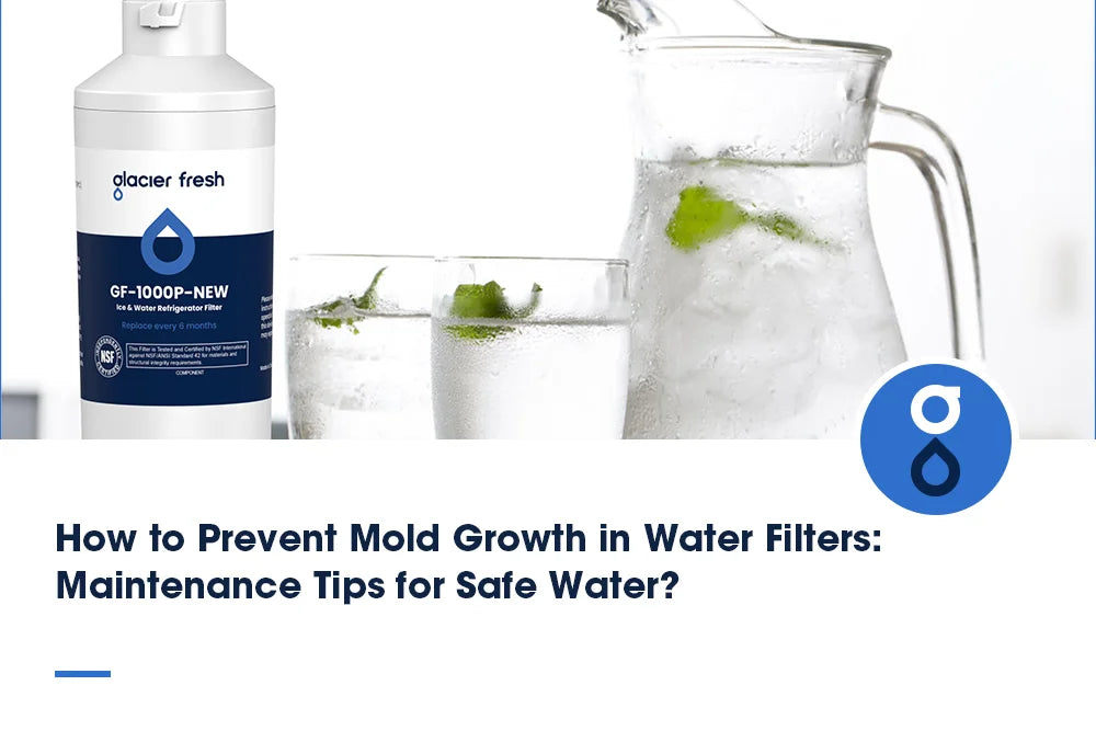 How to Prevent Mold Growth in Water Filters: Maintenance Tips for Safe Water