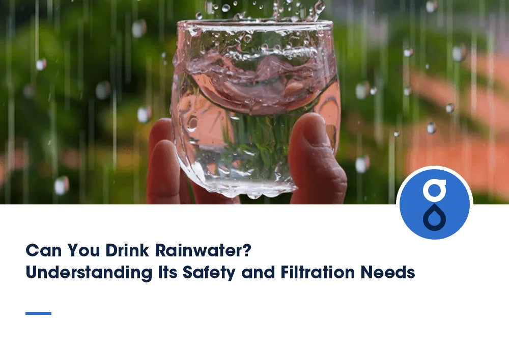 Can You Drink Rainwater? Understanding Its Safety and Filtration Needs