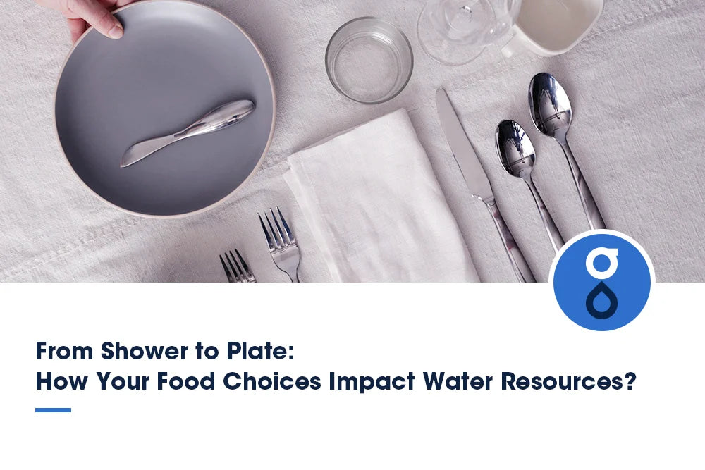 From Shower to Plate: How Your Food Choices Impact Water Resources