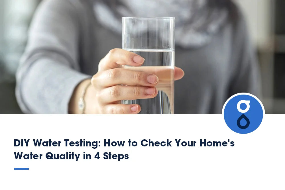 DIY Water Testing: How to Check Your Home`s Water Quality in 4 Steps