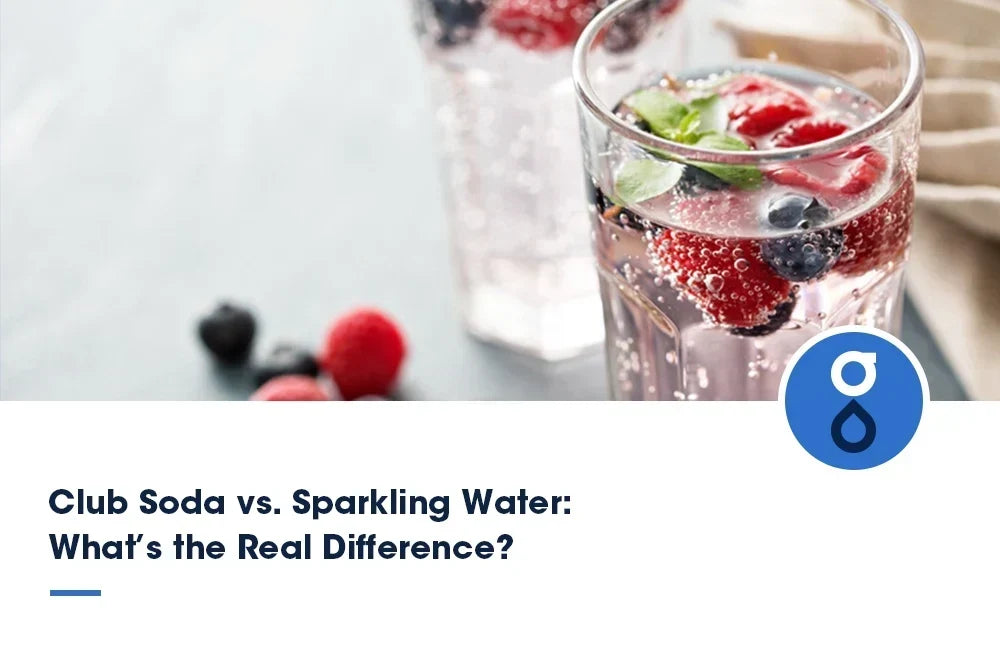 Club Soda Vs. Sparkling Water (Mineral & Sltzer): Which One is Best for Cocktails?