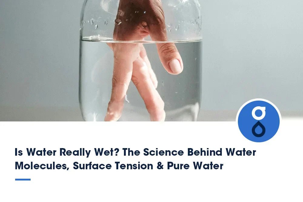Is Water Really Wet? The Science Behind Water Molecules, Surface Tension & Pure Water