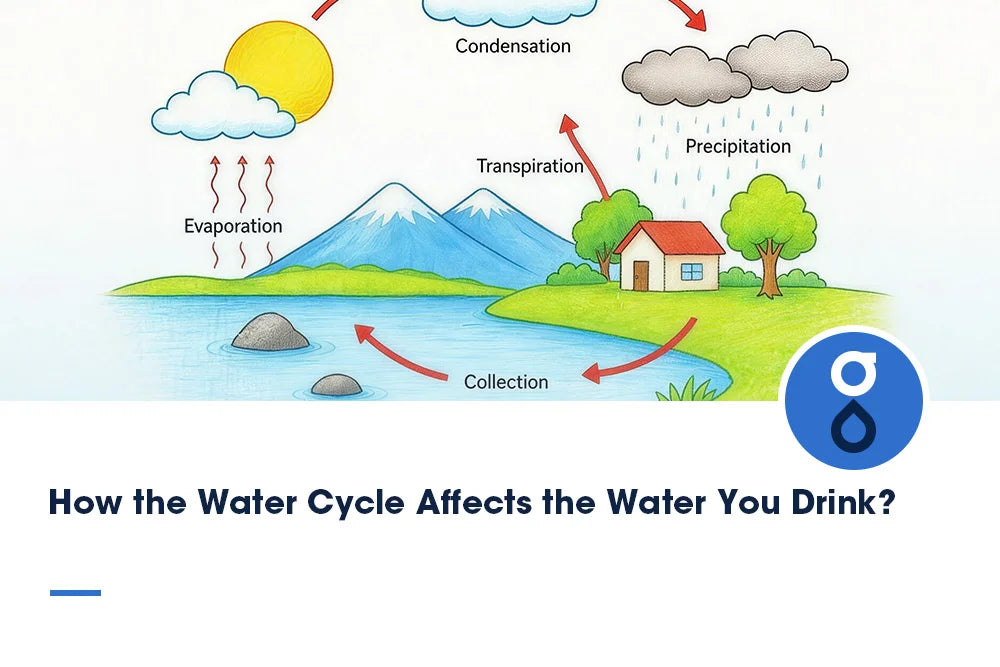 How the Water Cycle Affects the Water You Drink?