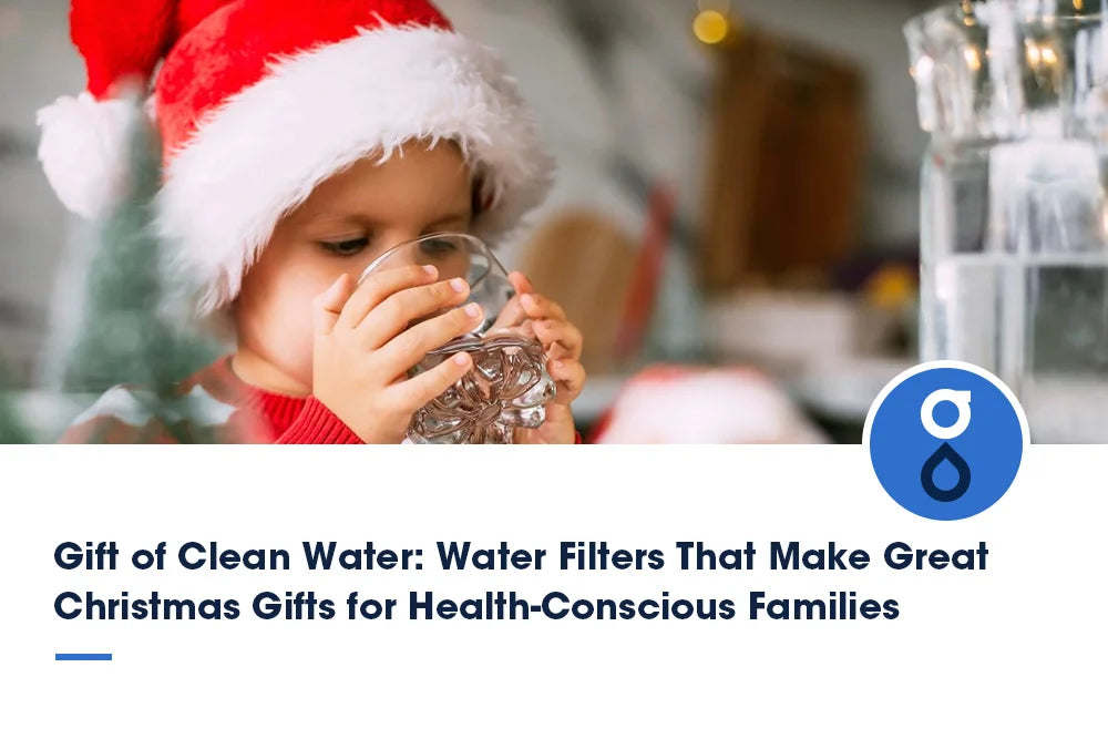 Gift of Clean Water: Water Filters That Make Great Christmas Gifts for Health-Conscious Families