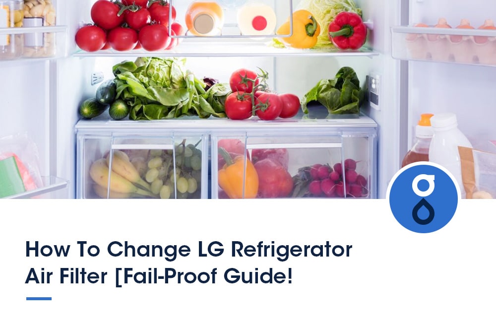 How To Change LG Refrigerator Air Filter --- A Fail-Proof Guide