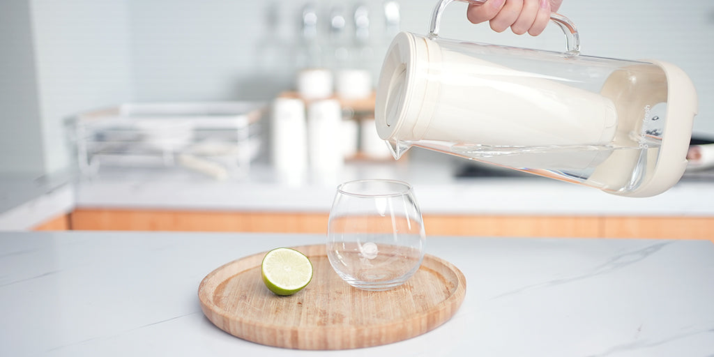 Pitcher Filter