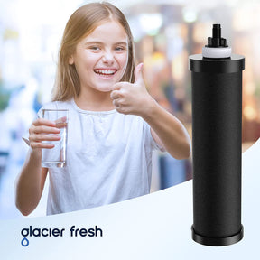 Glacier Fresh BB9-2 Black Purification Water Filter