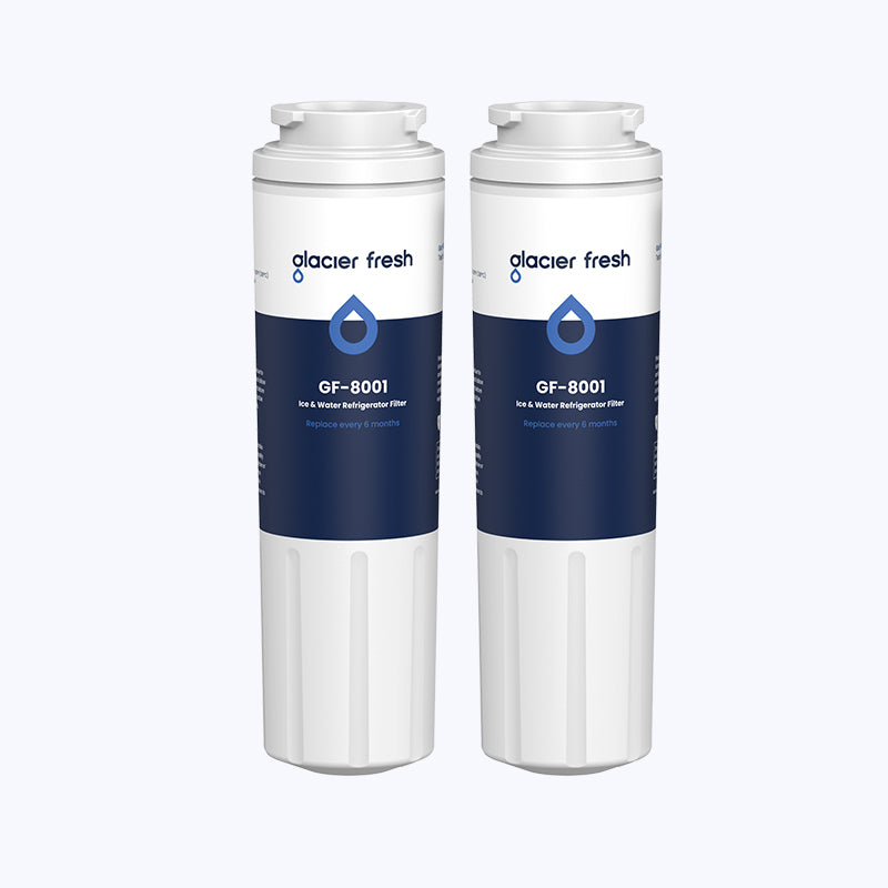 lt1000p water filter